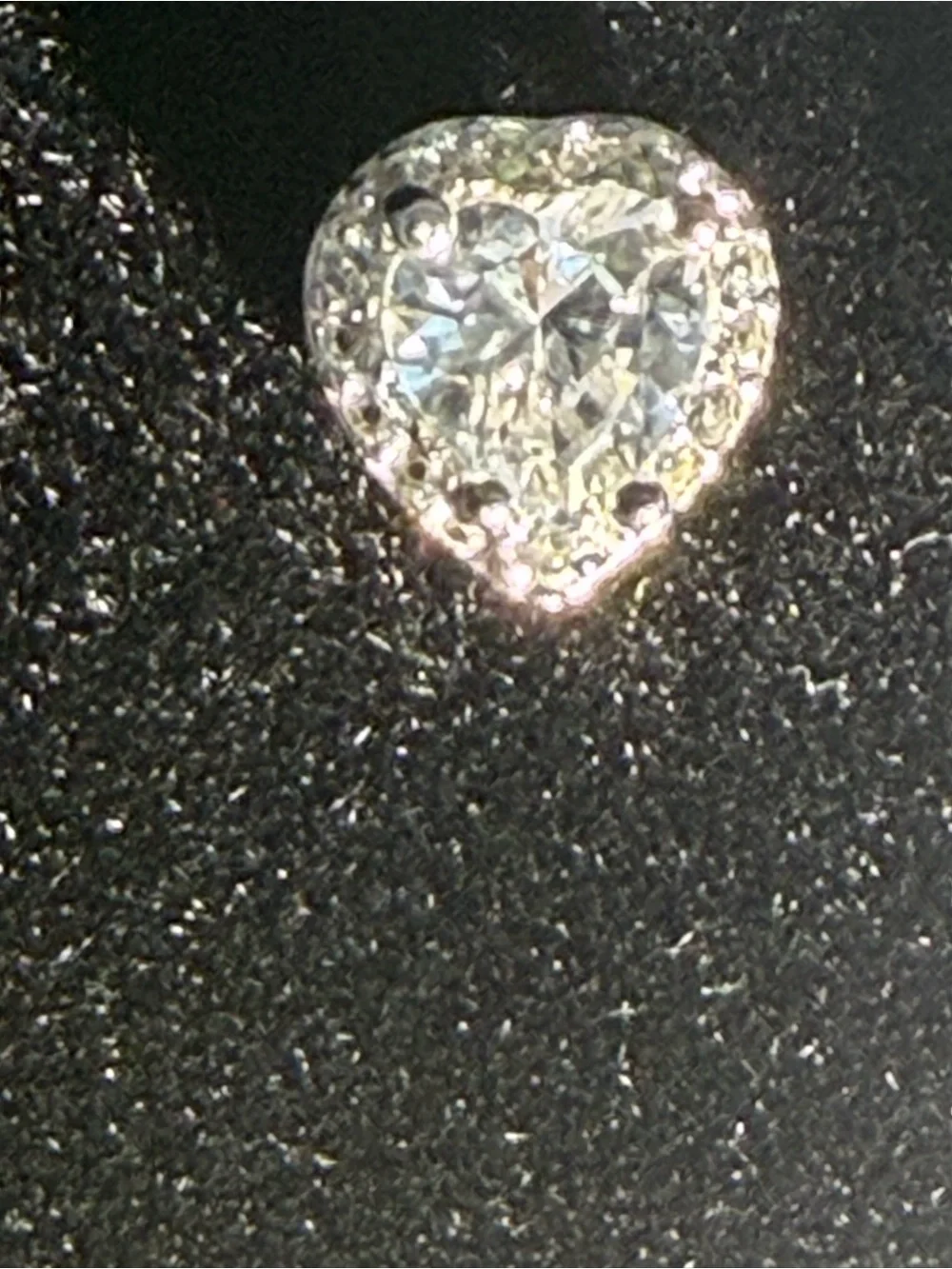 Classic Heart Halo Stud Earrings - Silver Clear